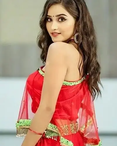 Escort In Narsinghgarh